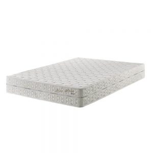 ecoline d33 como escolher